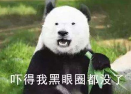 不懂分寸表情包