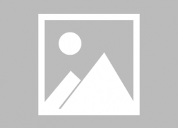 主攻娱乐圈萌娃文