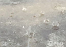 冰雹图片真实照片,天空瞬间变“水晶世界”