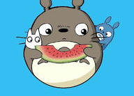 吃瓜娱乐龙猫,吃瓜娱乐中的治愈系萌宠传奇