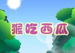 娱乐吃瓜 小故事大全视频,小故事大全视频精选集