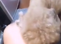 女主播情话啪啪啪,啪啪啪瞬间点燃心动火花