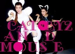 cat and mouse花絮,揭秘猫和老鼠花絮中的欢乐瞬间