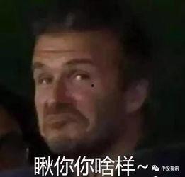 七爸和娱乐吃瓜君怎么了
